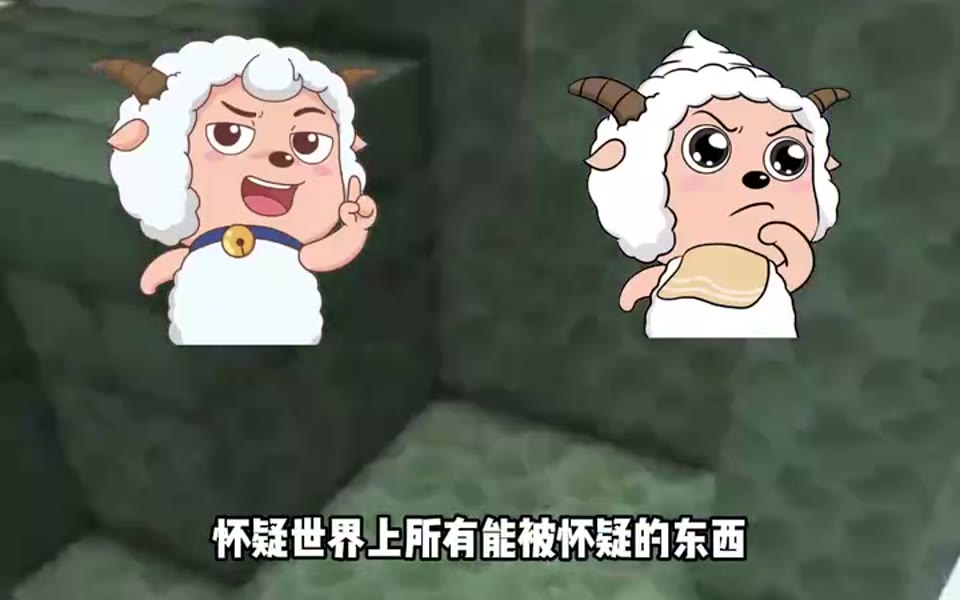 什么是 我思故我在 封面